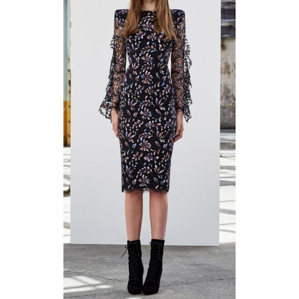 Alex Perry Romantic Liberty Painted Floral Lace Dress Elegant Midi size 4
